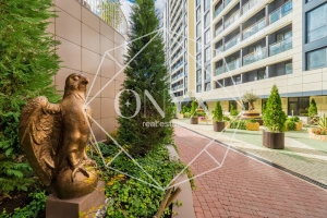 Изображение 12