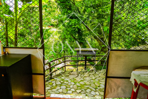 Изображение 23