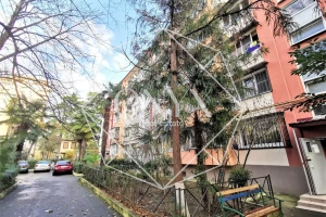 Изображение 15