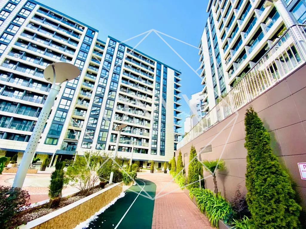 Изображение 6