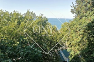 Изображение 10