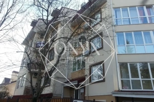 Изображение 4