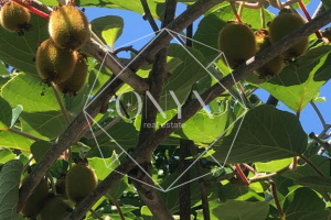 Изображение 14