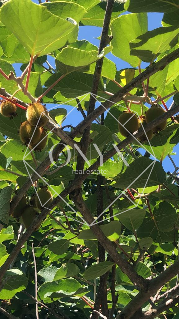 Изображение 14