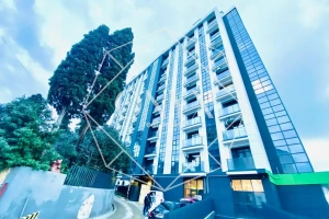 Изображение 19