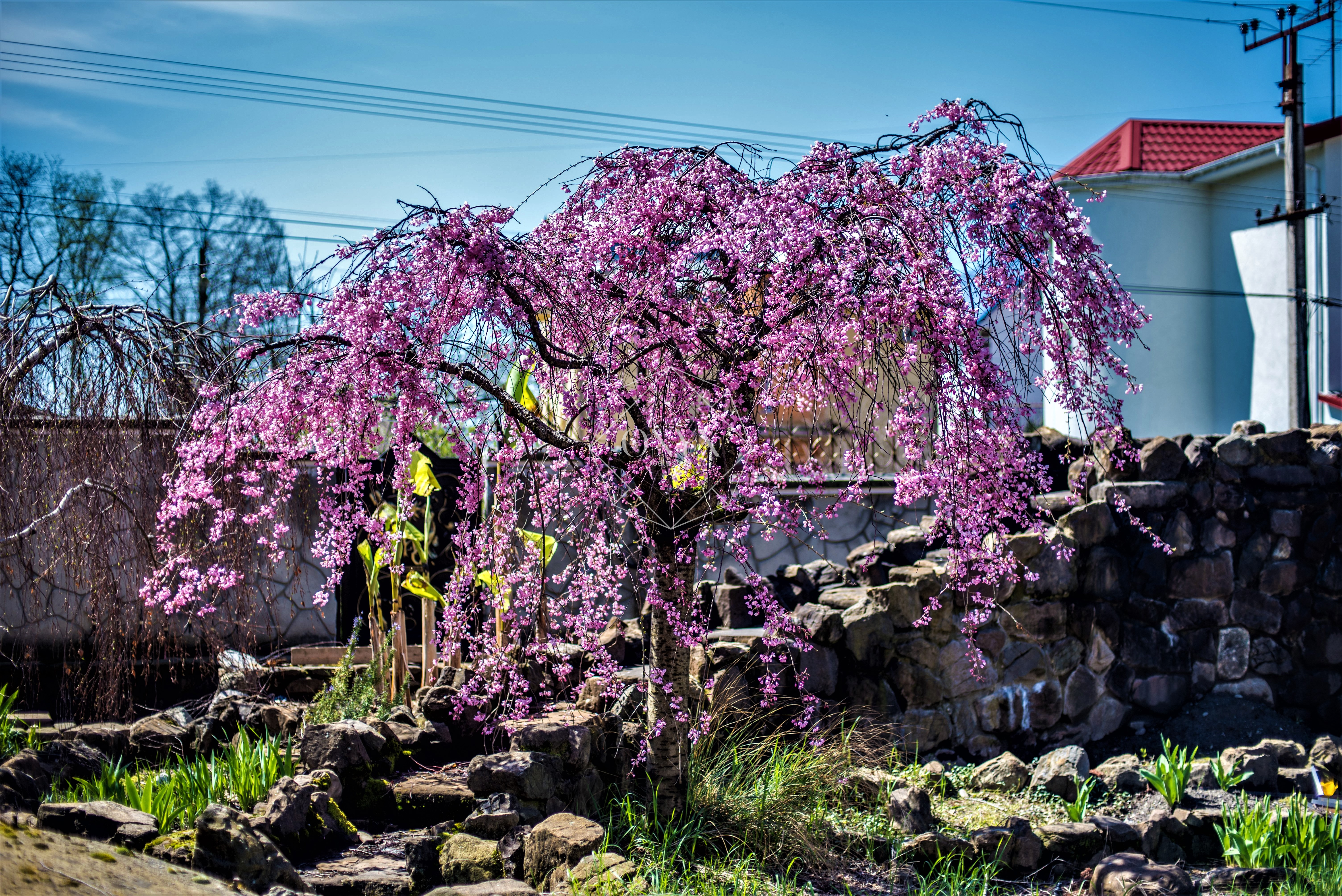 Изображение 62