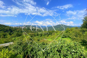 Изображение 13