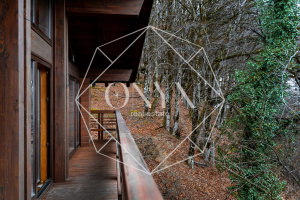 Изображение 11