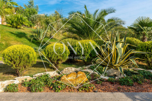 Изображение 9