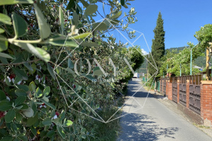 Изображение 15