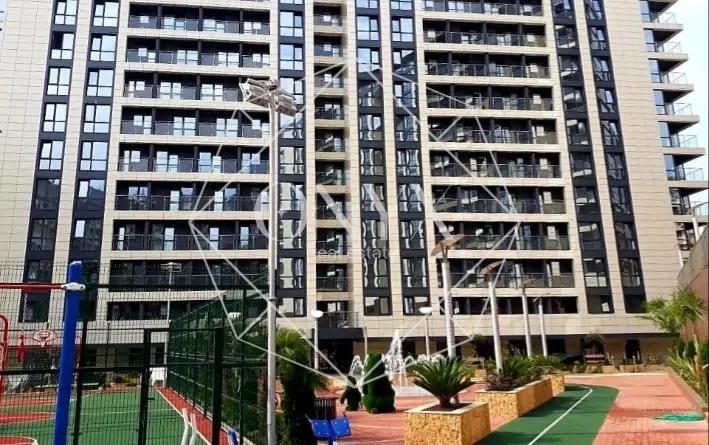 Изображение 12