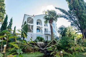 Изображение 19