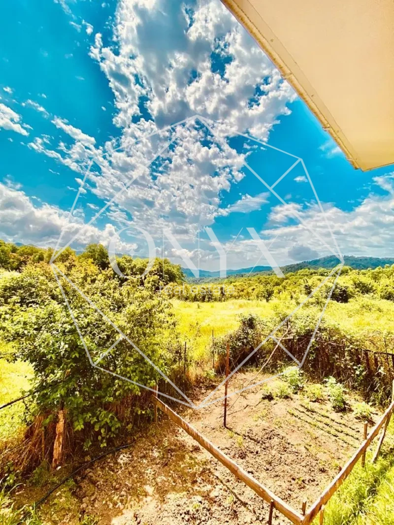 Изображение 7