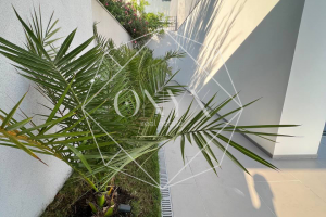 Изображение 56