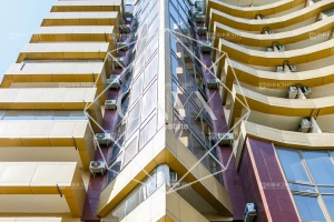 Изображение 13