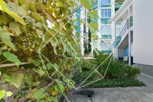 Изображение 14