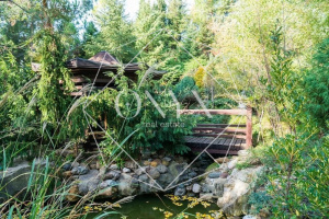 Изображение 13