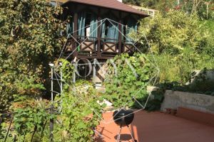 Изображение 13