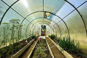 Изображение 31