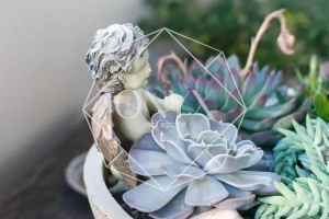 Изображение 10