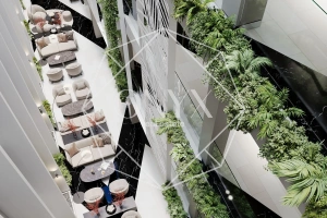 Изображение 14