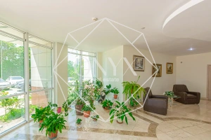 Изображение 40