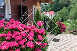 Изображение 17