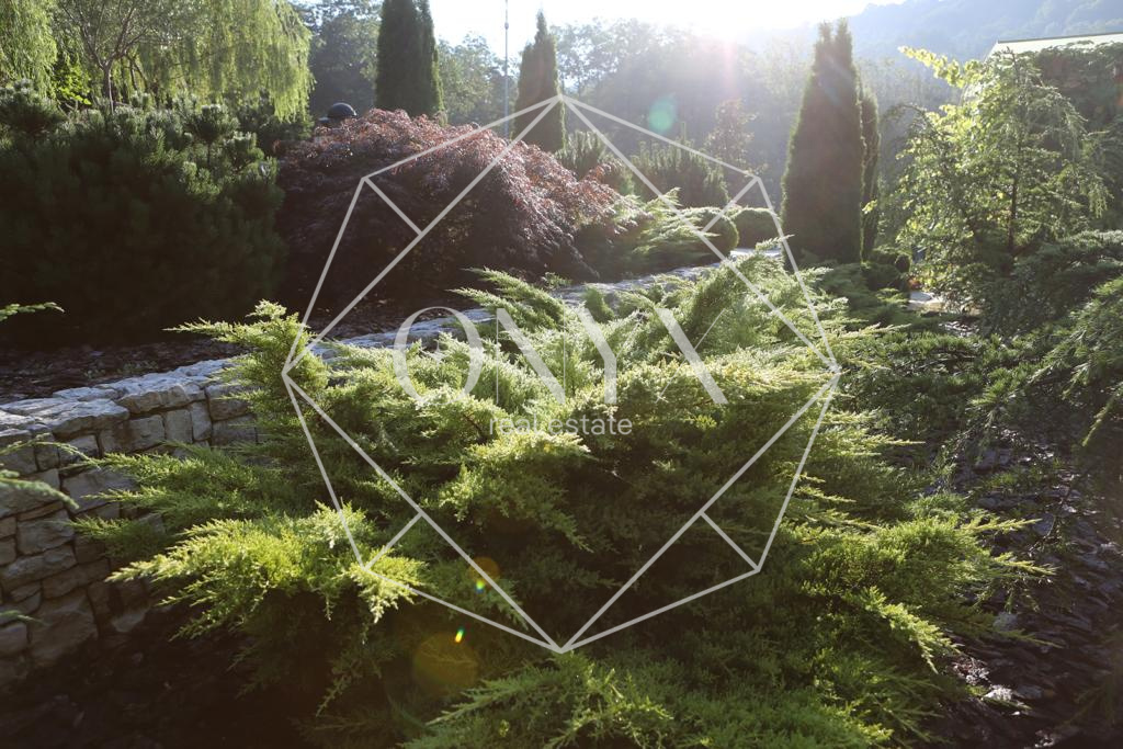 Изображение 12