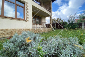 Изображение 8