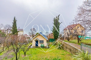 Изображение 15