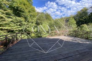 Изображение 12