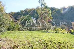 Изображение 11