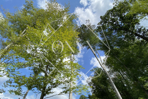 Изображение 15