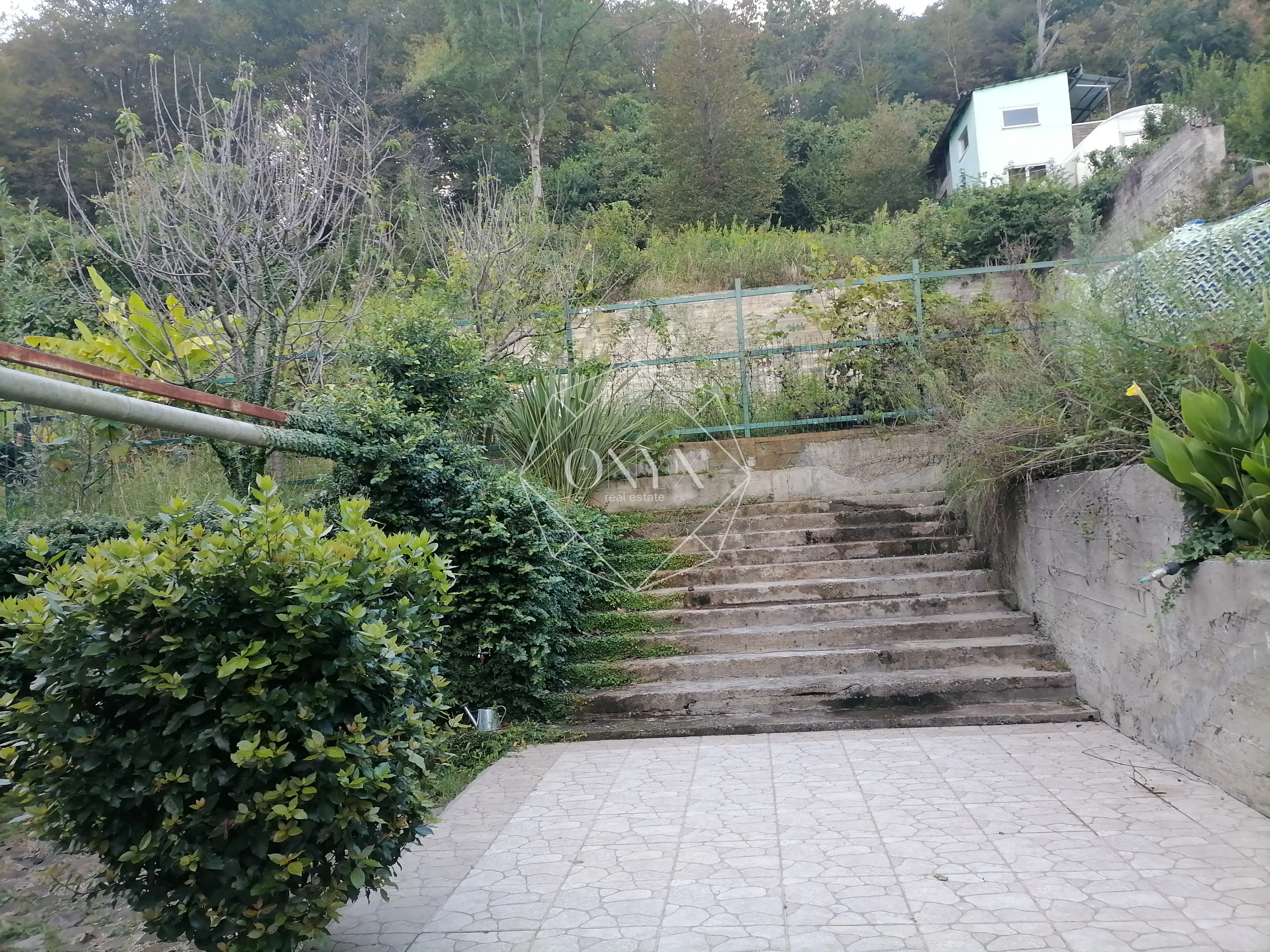 Изображение 8