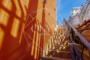 Изображение 23