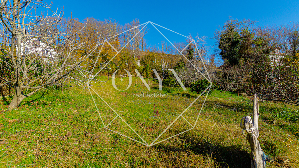 Изображение 11