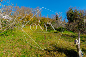 Изображение 11