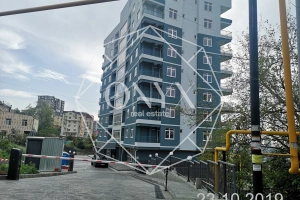 Изображение 5