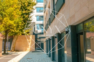 Изображение 11