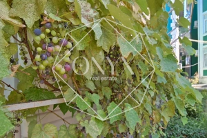 Изображение 12