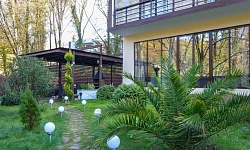 Дом в окружении реликтовых дубов