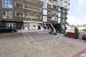 Изображение 13