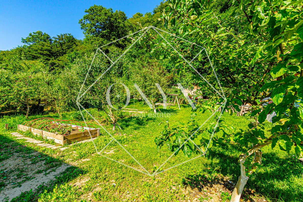 Изображение 22