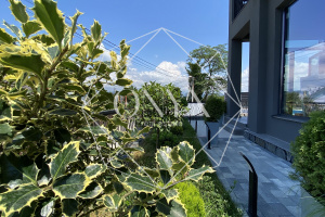 Изображение 12