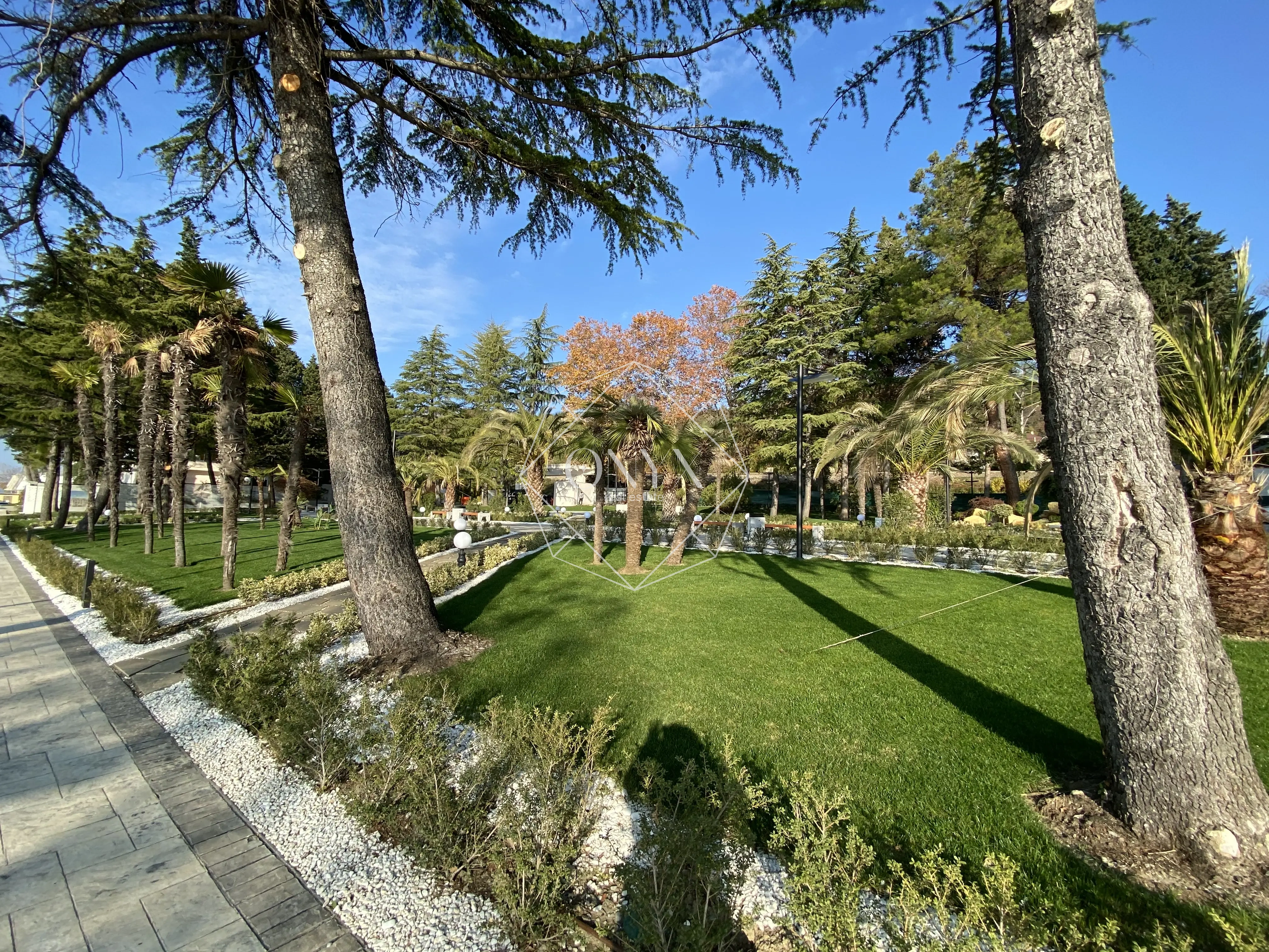 Изображение 9