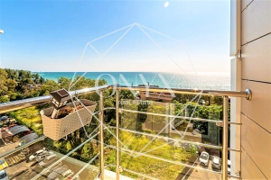 Изображение 24