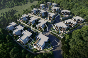 Изображение 12