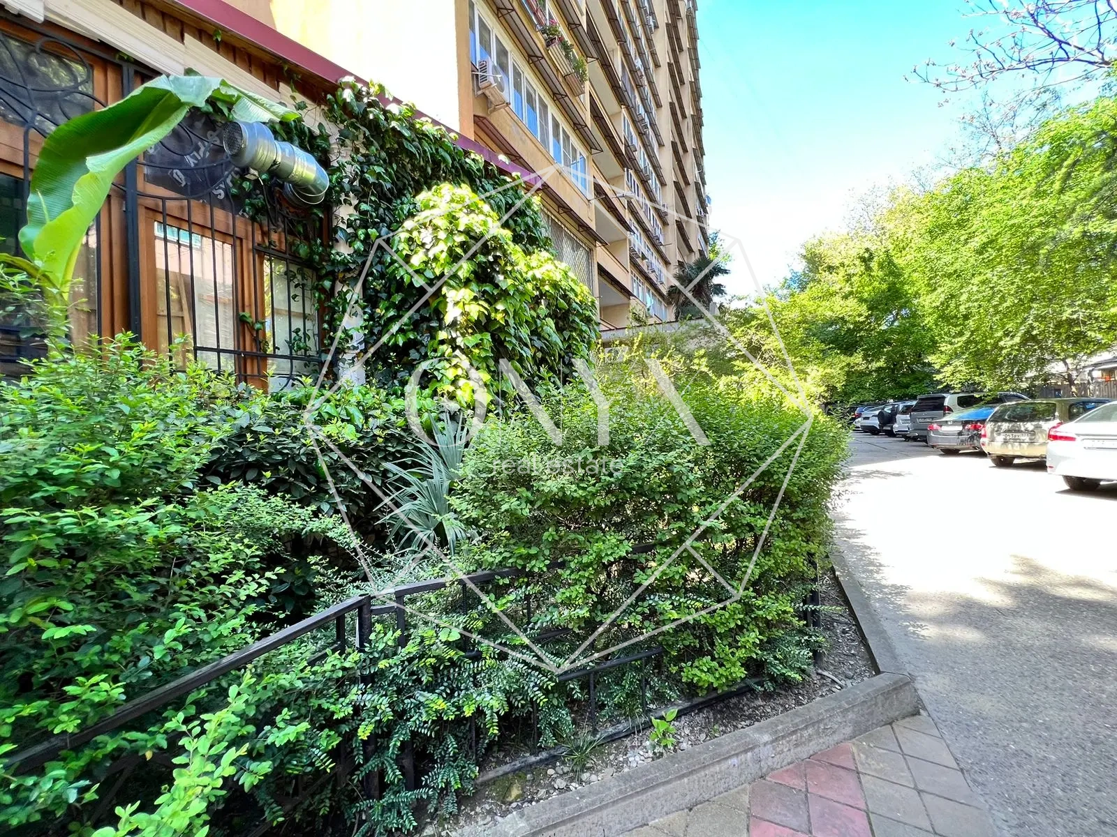 Изображение 12