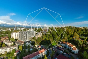 Изображение 13