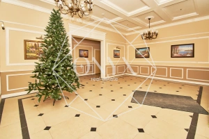 Изображение 9